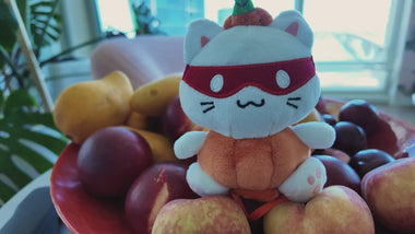 Gallery viewerに動画を読み込んで再生する, キャットニップ ブラボー パンプキン ショルダーシッター
