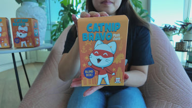 Load and play video in Gallery viewer, Catnip Bravo Blind Box Plush Charm Collection
